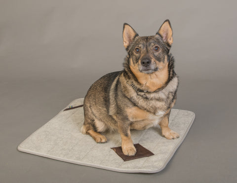 Hundfilt i ull, 50*60 cm